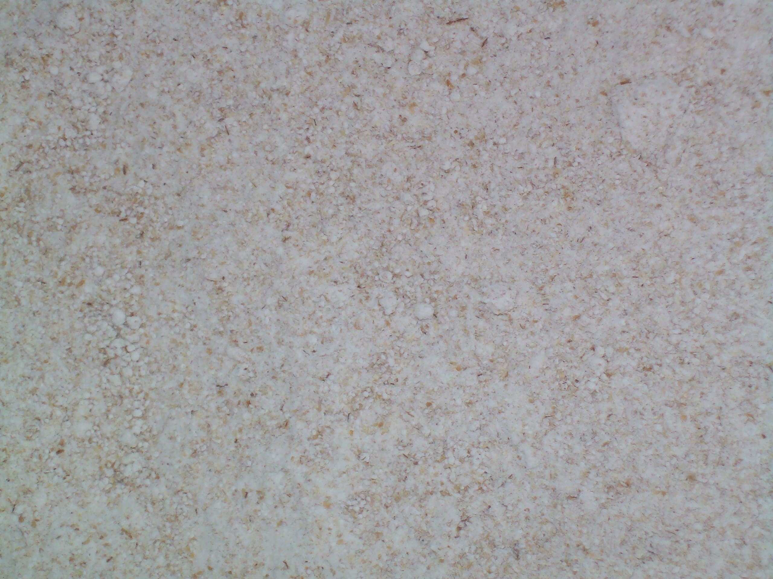 Clear Flour (Fancy), Organic, Stone Ground Fresh, Farmer Direct, 1 lb., non-GMO, IP