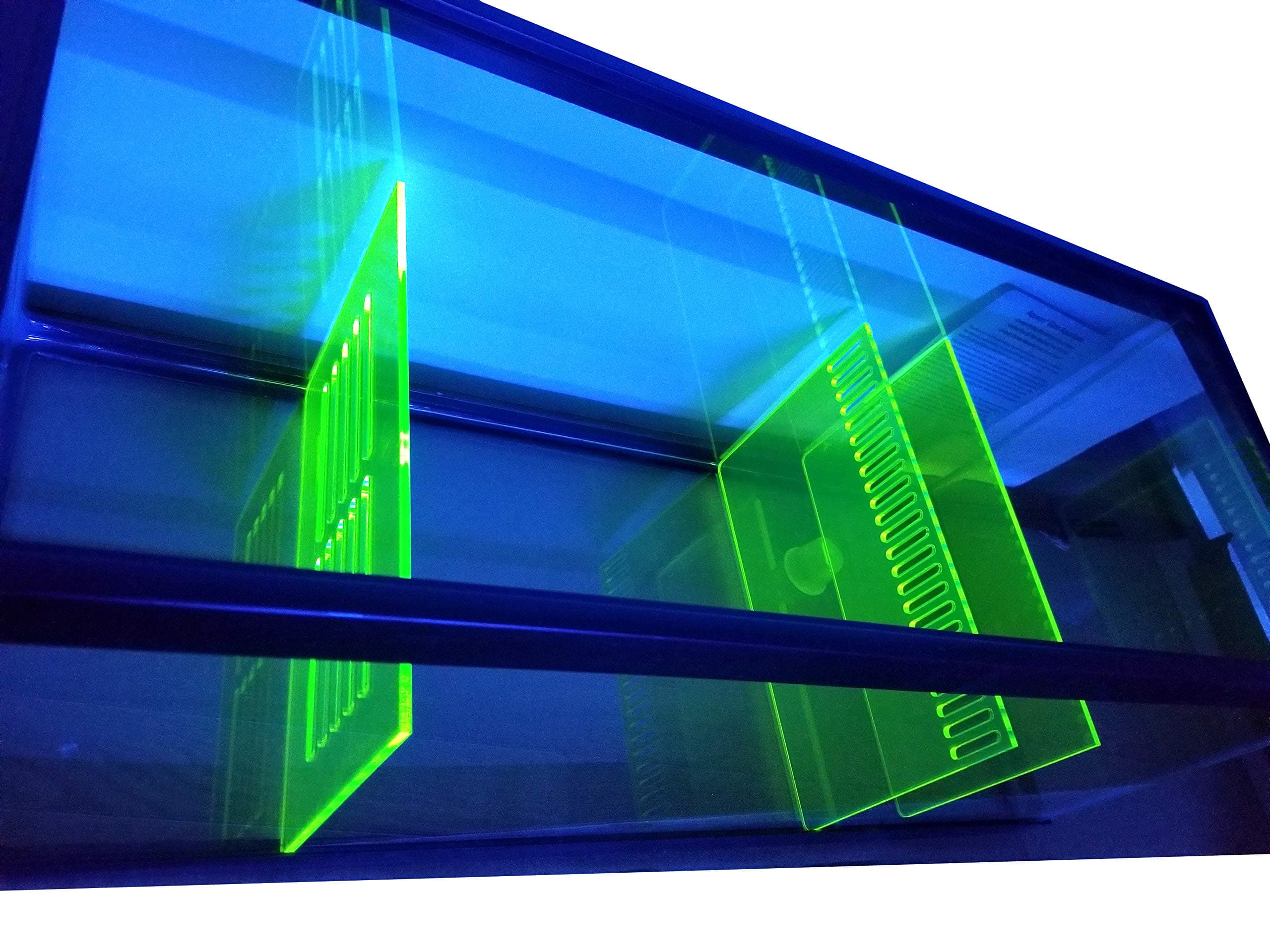 Aquarium Sump Refugium DIY Kit for Protein Skimmer Sump - Chamber dividers (20 Gal-Green)