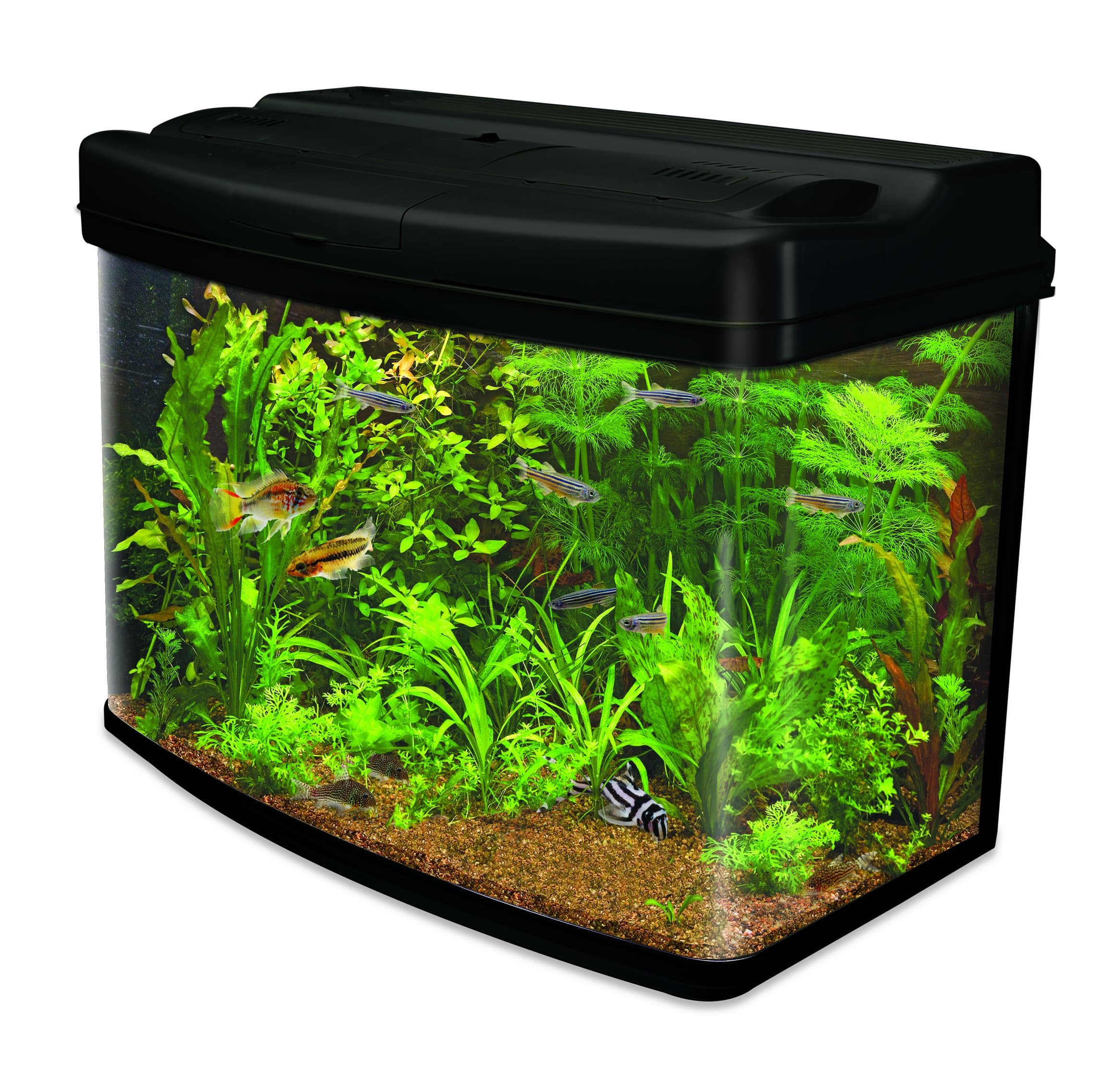 Interpet Fish Pod Glass Aquarium Fish Tank, 64L, with Bright White Lighting, Heater, Thermometer and Easy Care Filter