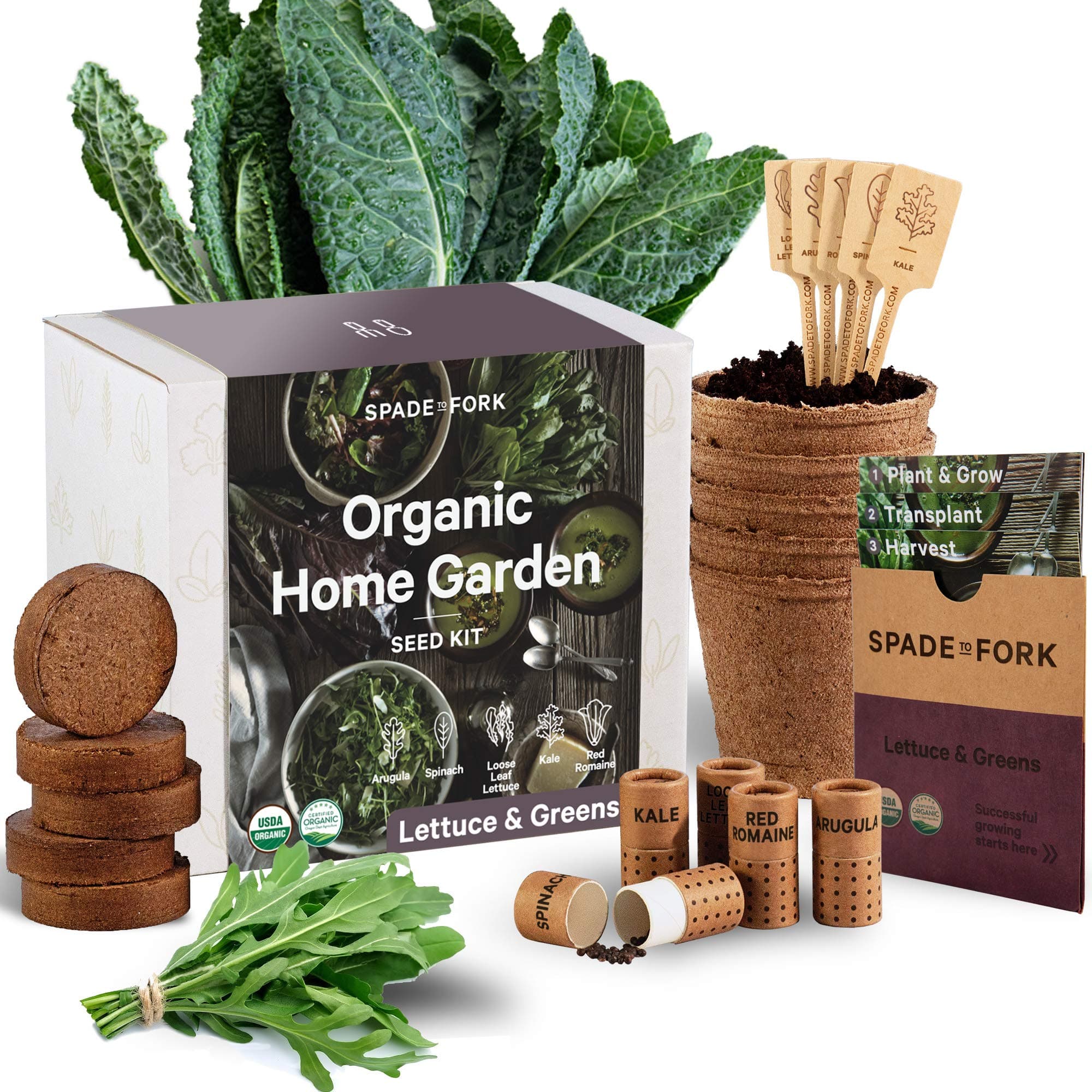 Organic Lettuce & Greens Kit
