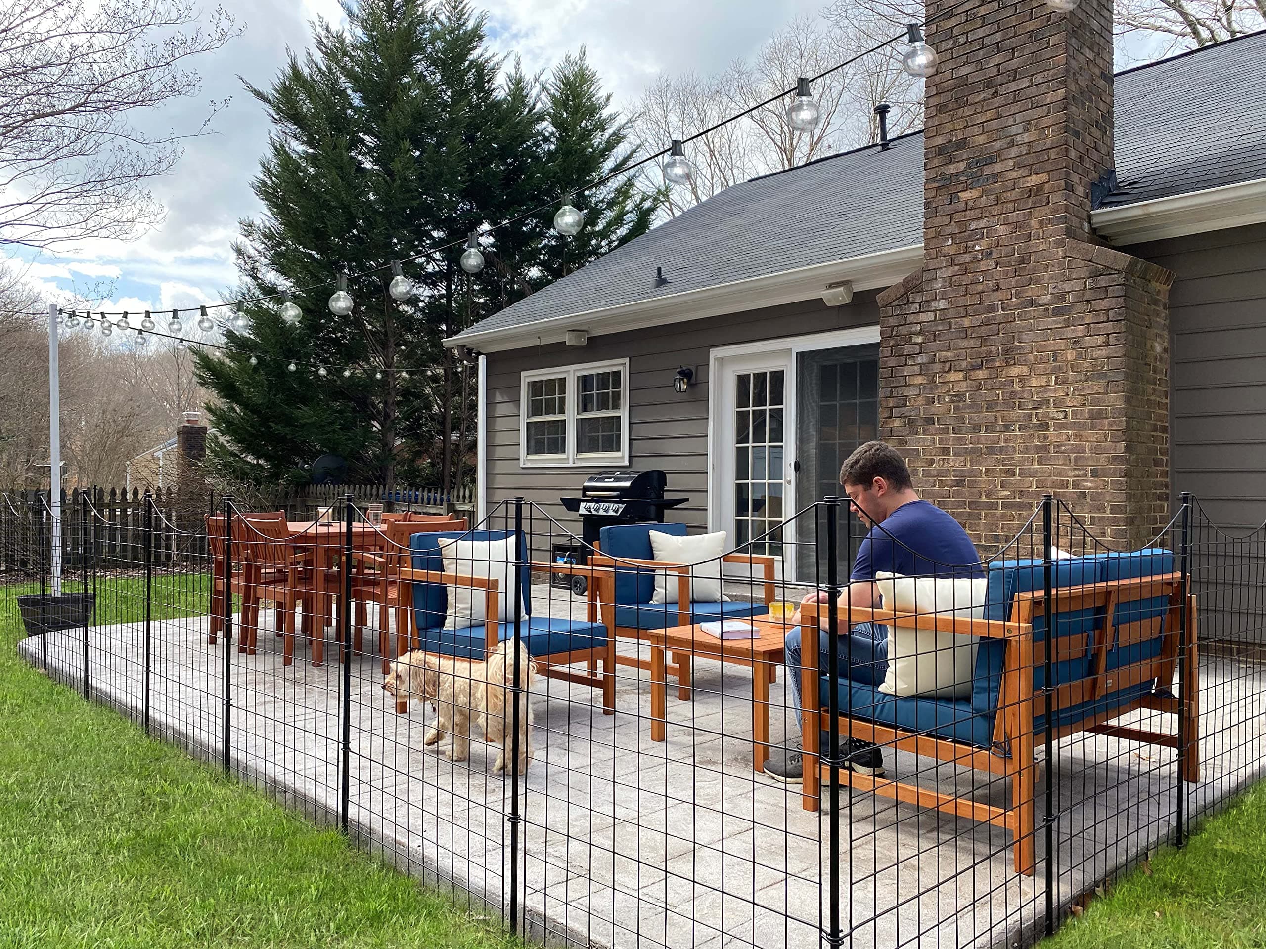 Zippity Outdoor Products 39in H (5 Fence Panels) No Dig Easy Install Black Metal Fence, Decorative Fence Ideal for Garden Fencing For Dogs, Temporary Fence or Garden Fence Animal Barrier, WF29006