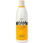 Birsppy Citre Shine Daily Revitalize Shampoo - 16 fl oz