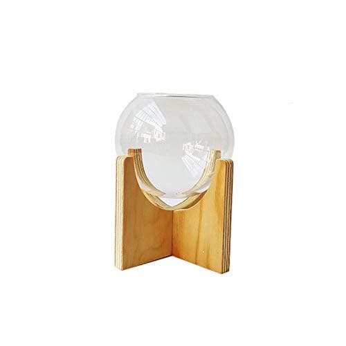 Watering Honey Creative Glass Vase Small Betta Fish Tank Aquarium Fish Bowl with Wood Stand for Office Desktop Decoration-Small