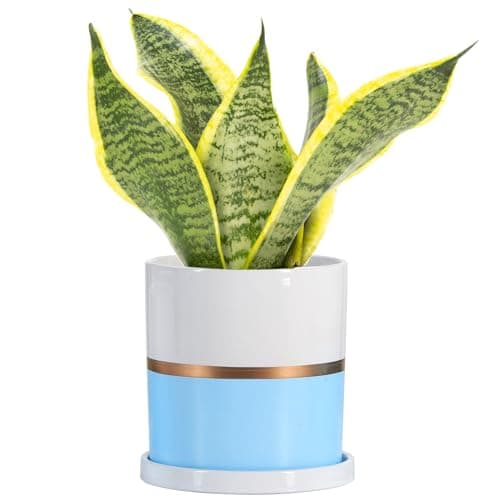 Ekirlin 5 inch Plant Pot - Ceramic Flower Planters Indoor - Modern Succulents Containers with Drain Hole Saucer, Decorate Home, Office & Outdoor (Blue)