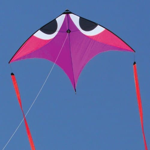 Pacific Quest Flying Wings Purple Wala Glider-Kite