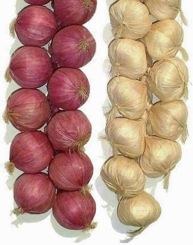 Lihou 2 x 20 Onion & Garlic Strings, Artificial Vegetables