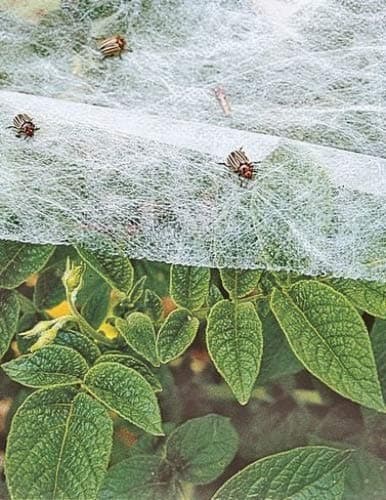 Gardeners Supply Company Summerweight Fabric Plant Cover | Outdoor Raised Garden Bed Greenhouse Blanket Protection Against Winter Frost, Extreme Heat, and Reusable Pest Barrier | 12 ft X 20 ft