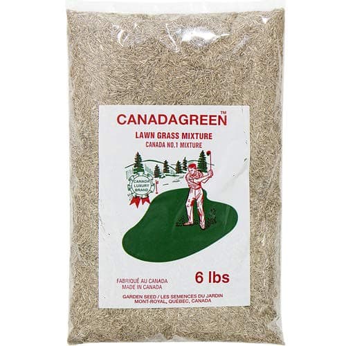 Canada Green Grass Seed - 6 Pound Bag