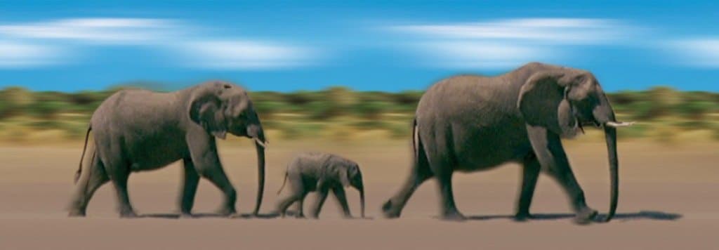 Animated Walking Elephants 3D Bookmark - Ruler By Emotion Gallery