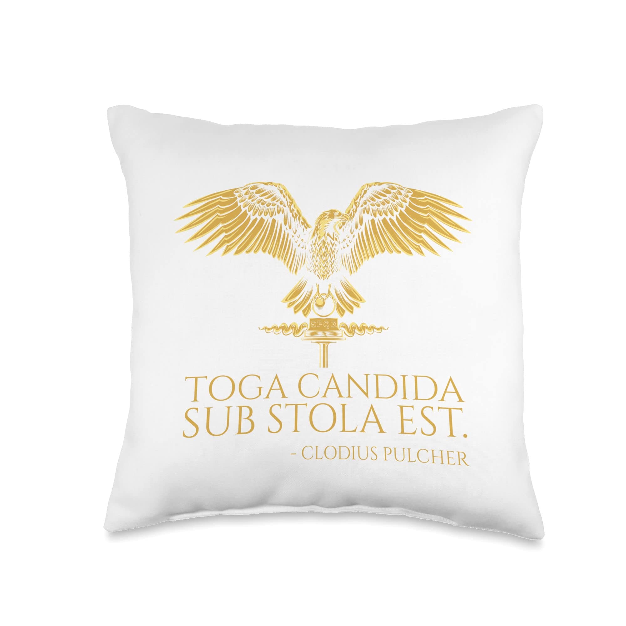 Ancient Rome Latin Joke - Toga Candida Sub Stola Est - SPQR Throw Pillow