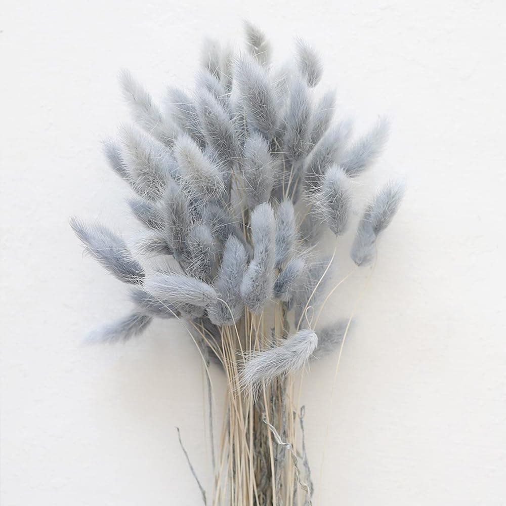 60PCS Rabbit Tail Grass Dried Flowers Dried Natural Floral Arrangement Bunch Decoration Dried Grass,Eternal Flower Dried Grass for Home,Wedding,Party,Flower Bouquet,Photo Props Decor (Grey)
