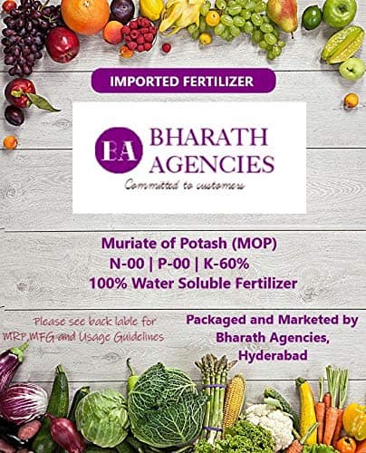 Bharath Agencies Water Soluble NPK 0 0-0-60 Potash (500 Grams) - Plant Fertilizer