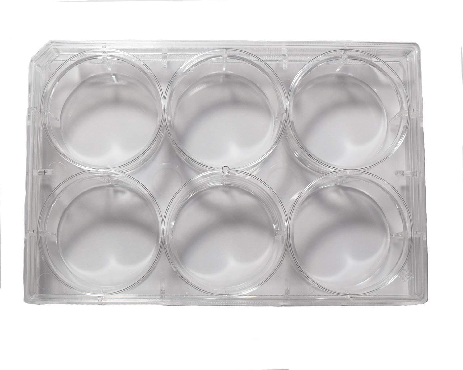 6 Well Non-Treated Sterile Flat Tissue Culture Plate with lid (50/Case)