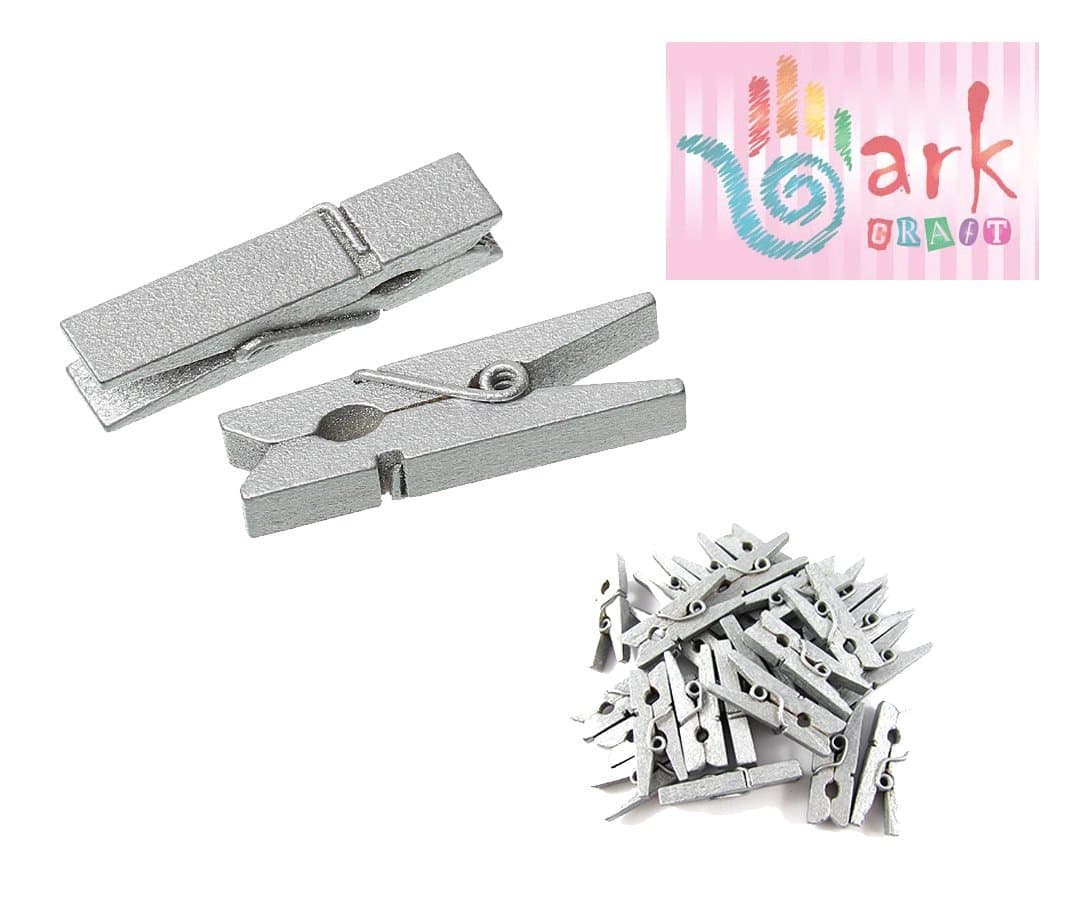 100 Mini Wooden pegs (Silver)