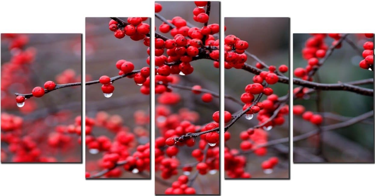 OBELLA Unframed Wall Art Canvas Pictures Prints 5 Pieces Panels || Red Fruit Tree Branch || Posters Oil Paintings Printed Photo for Home Decoration