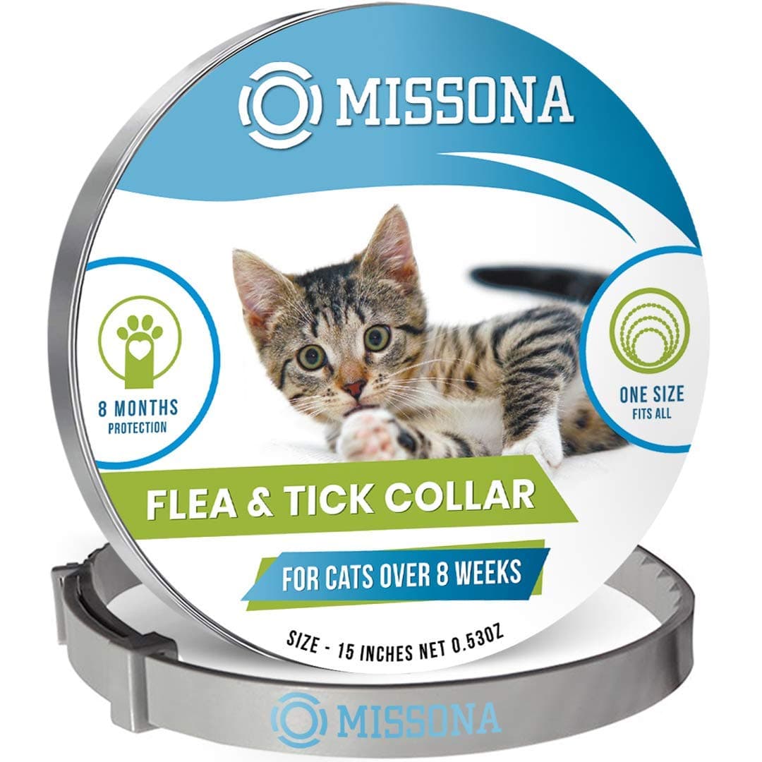 Easel Art Stand for Artist 52cm-162cm Adjustable Aluminium Portable Table & Floor Easels for Display Painting Posters Canvas Suitable for Adults & Kids Professional Craft Supplies with Carry Bag