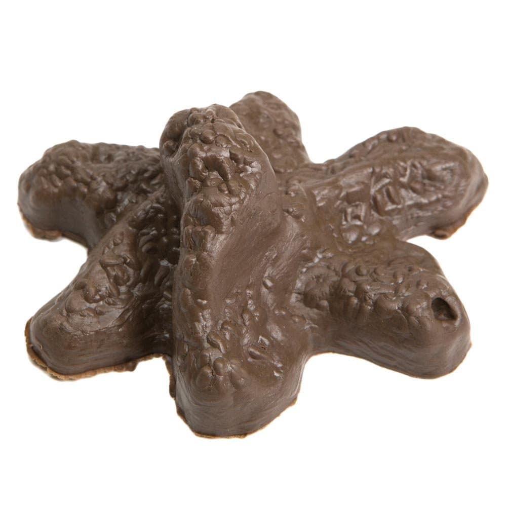 Loftus Novelty & Magic Fake Doggie Doo