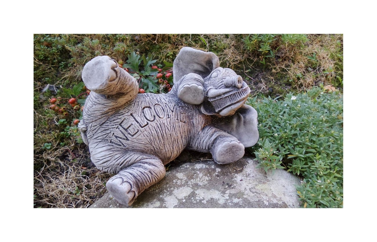 Garden Ornaments by Onefold FP12 Water Nymph Wall Plaque Lilly Fairy Stone Garden Ornament, Grey, 3x15x25 cm