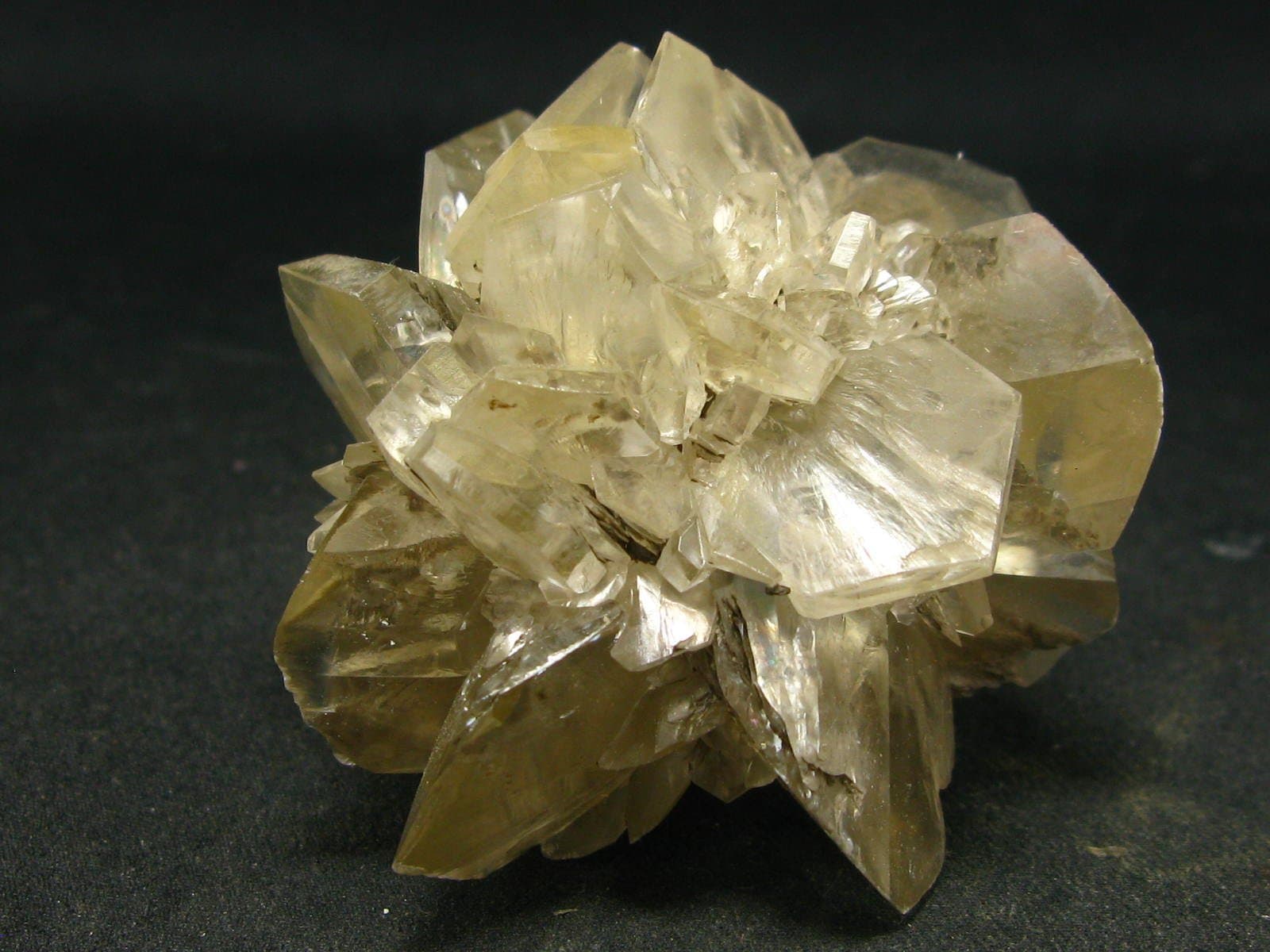 Gypsum Rose Crystal From Manitoba Canada - 1.9"