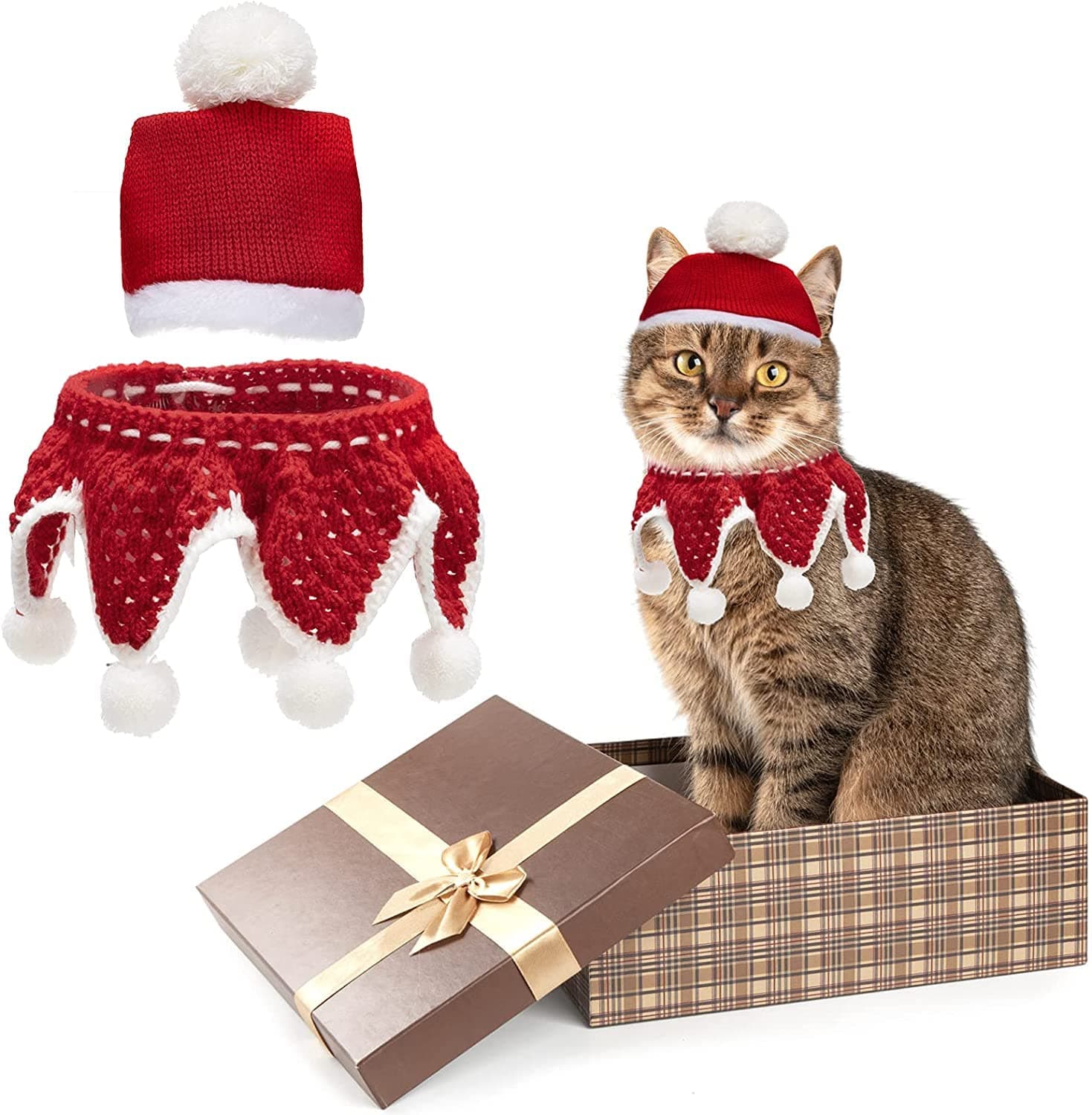 PAWCHIE Cat Christmas Outfit