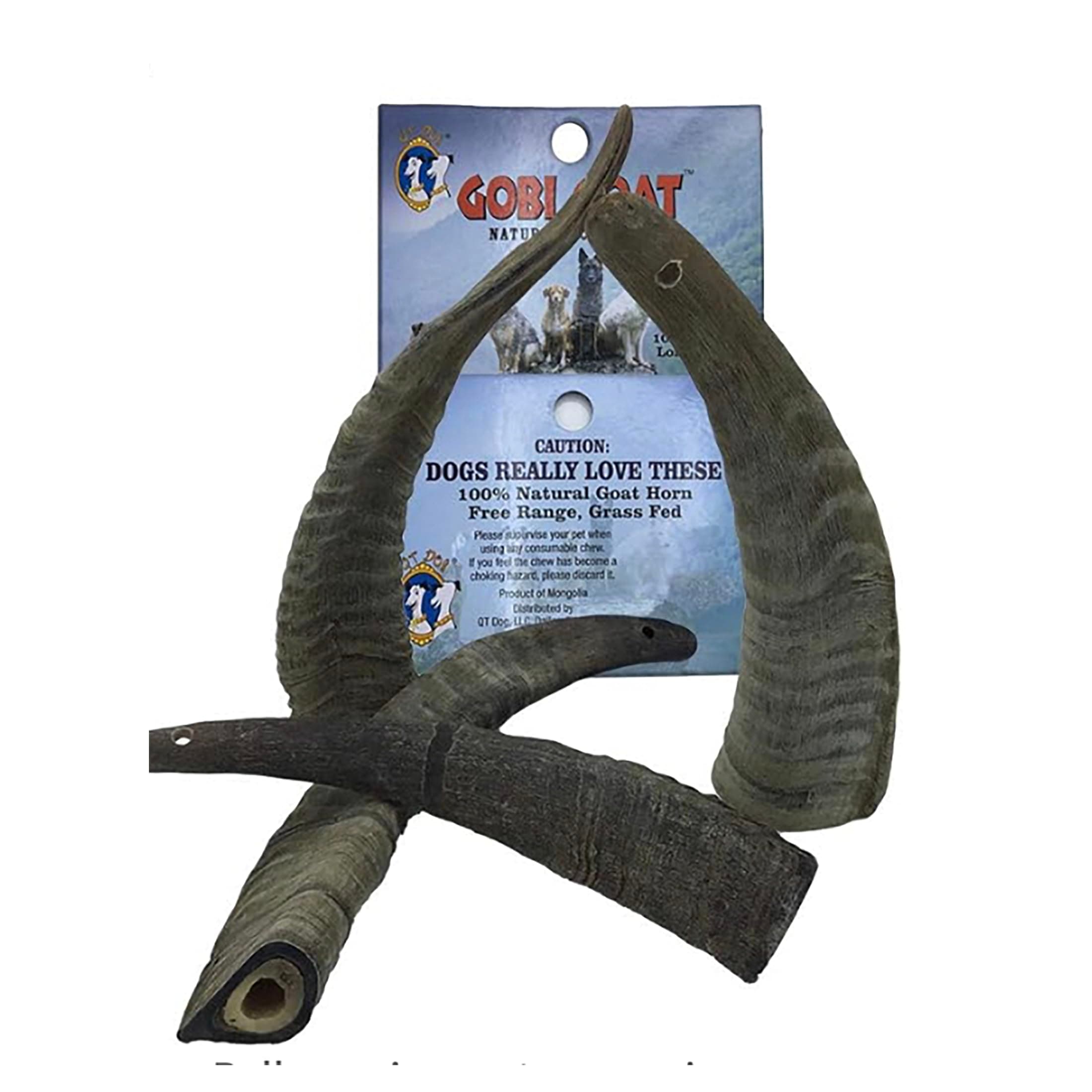 QT Dog Small Gobi Goat Horn (Pack of 4) - Long-Lasting 100% All-Natural Dog Chew, Ethically Sources Protein-Packed & Low Fat Dental Chews, Ideal for All Breeds & Aggressive Chewers