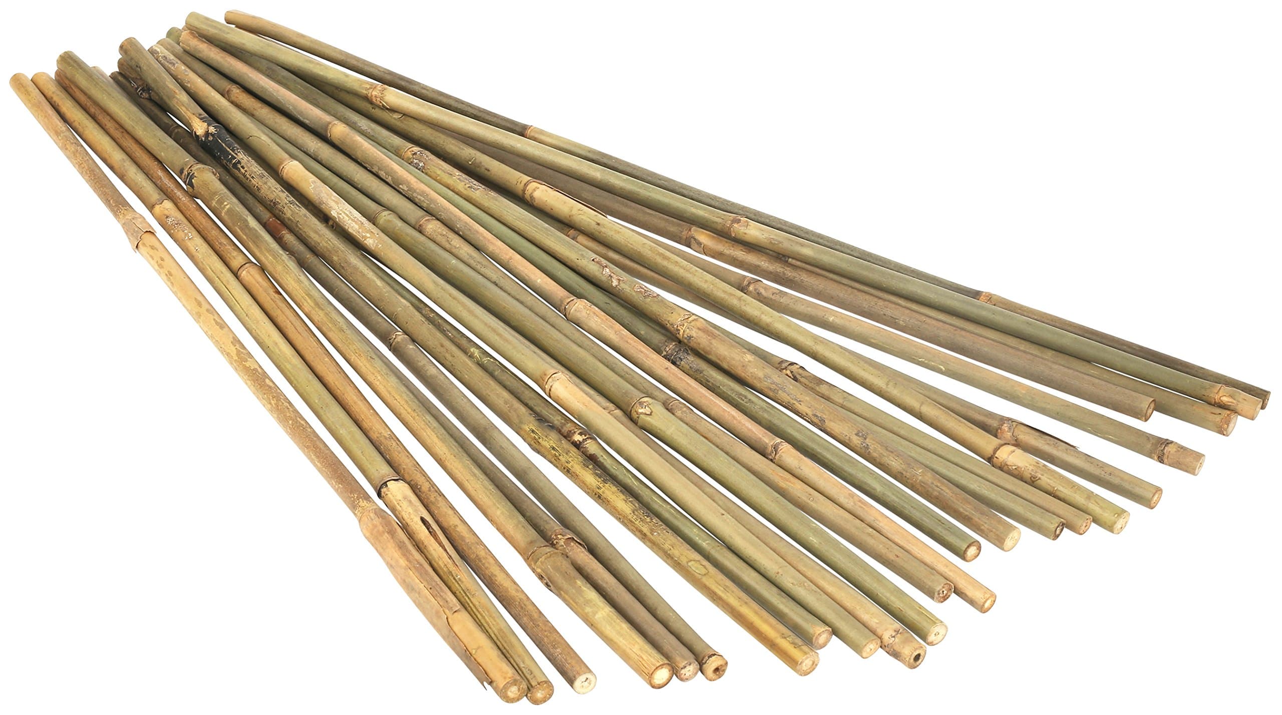 Kaya Collection 2448 1/2 Inch Stake Poles-24 Pack Bamboo Poles, 4 Feet, Natural