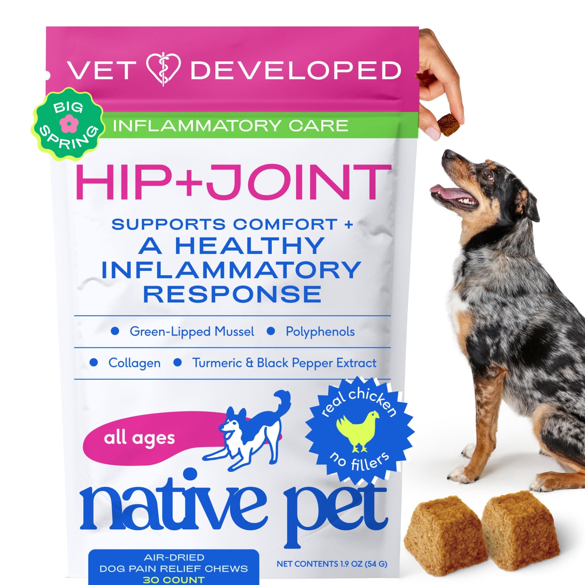 Native Pet Inflammatory Care - Pain Relief for Dogs - Green-Lipped Mussel, Turmeric & Collagen for Dogs - Hip and Joint Supplement Supports Healthy Inflammatory Response & Joint Comfort - 30 Chews