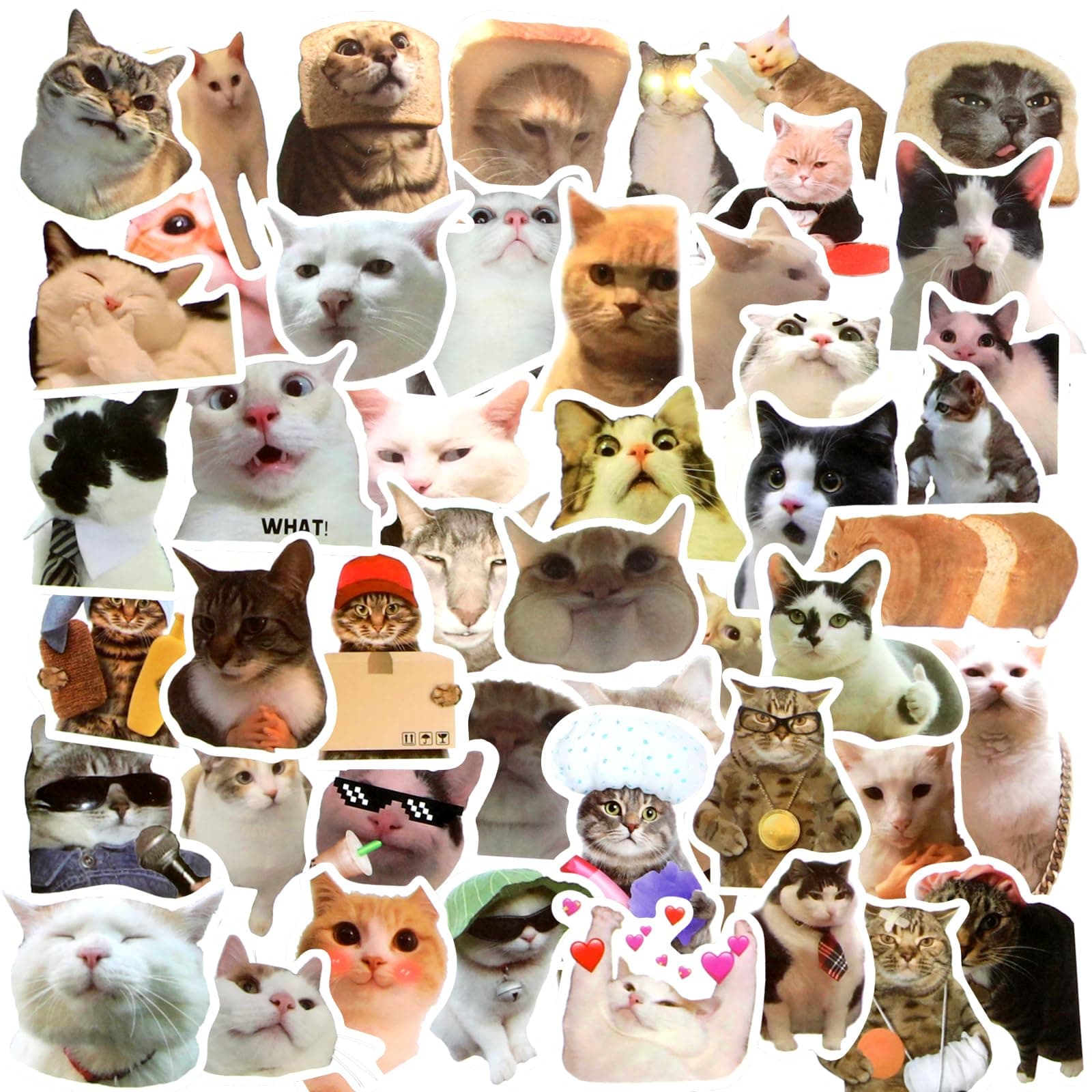 TIESOME Funny Cat Decals, 50 Pcs Kawaii Kitten Stickers Waterproof for Water Bottles, Vinyl Aesthetic Decals for Cat Lovers, Scrapbook, Laptop, Phone