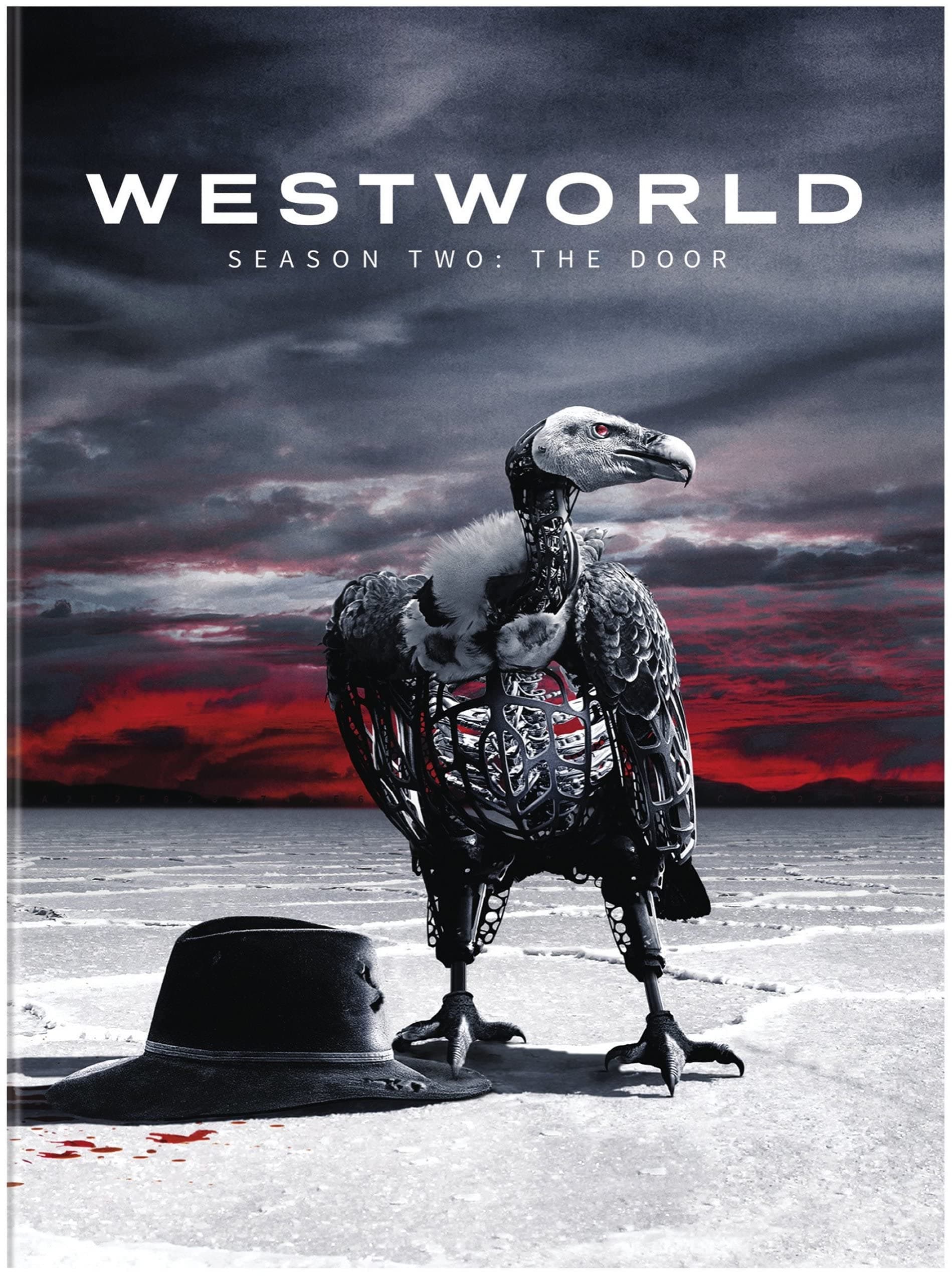Westworld: Season 2: The Door (DVD)