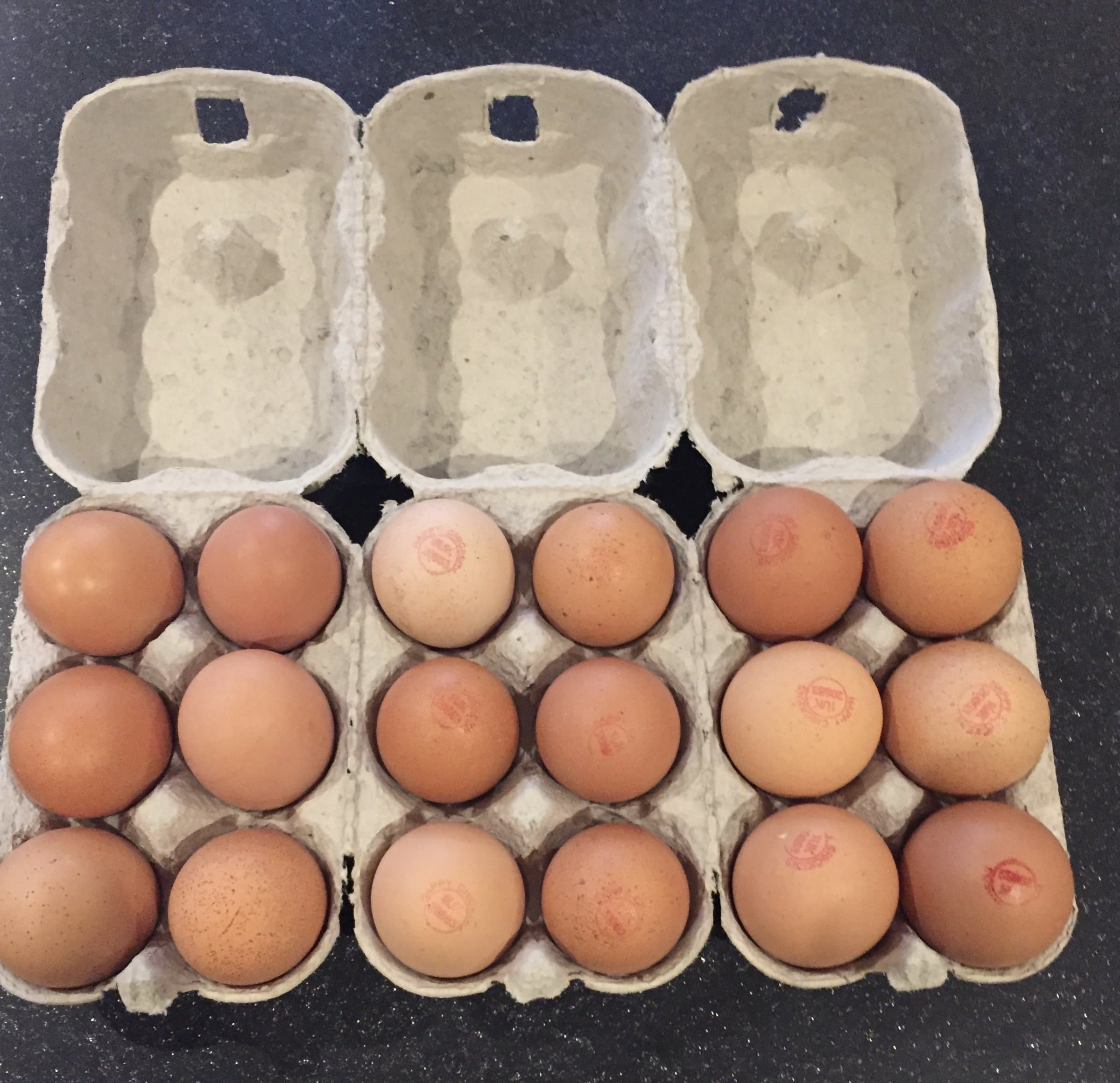 30 X NEW HALF DOZEN EGG BOXES SUITABLE FOR MEDIUM TO LARGE EGGS