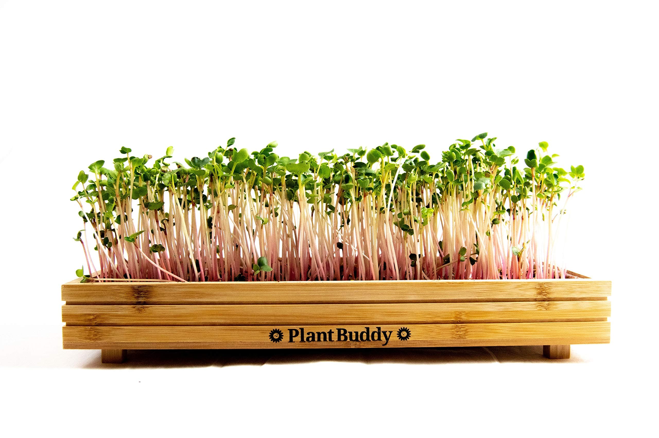Indoor and Outdoor Microgreens Growing Kit - Bamboo Sprouting Seed Tray with Coco Coir, Spray Bottle, Radish Seeds, Liner - Countertop Planter, Microgreen Seeds Starter by Plant Buddy, 15x7 in.